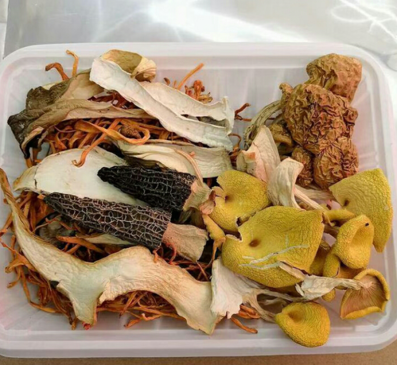 云南特产，七彩菌汤包，基地直供