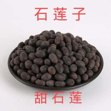 包邮石莲子500克中药材新货甜石莲石莲肉莲子带皮莲子