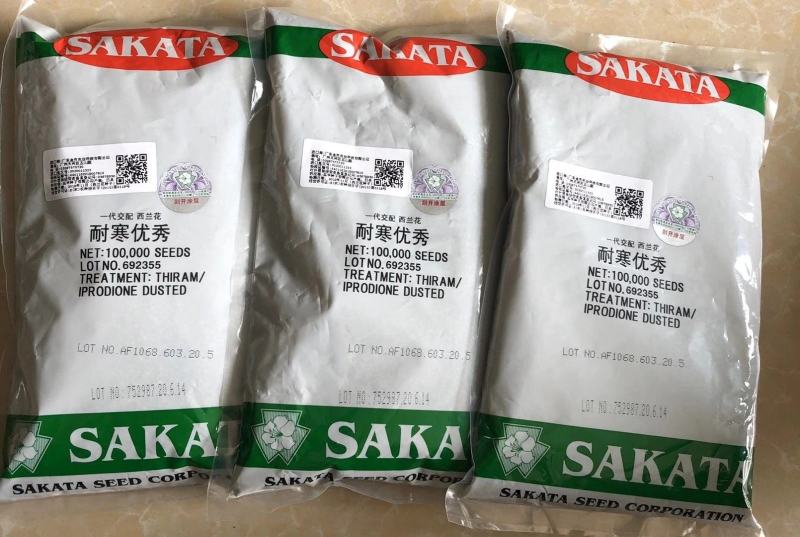 青花菜种子耐寒炎秀西蓝花种子抗性好产量高品质好