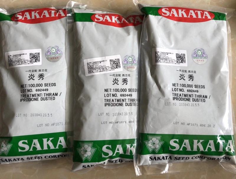青花菜种子耐寒炎秀西蓝花种子抗性好产量高品质好