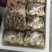茶树菇，全新包装，新货上市