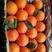 脐橙香甜可口重庆忠县产地大量上市价格欢迎咨询