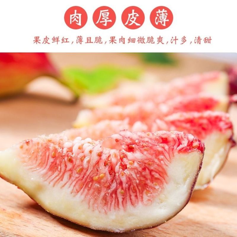 新鲜无花果，一件代发，可批发