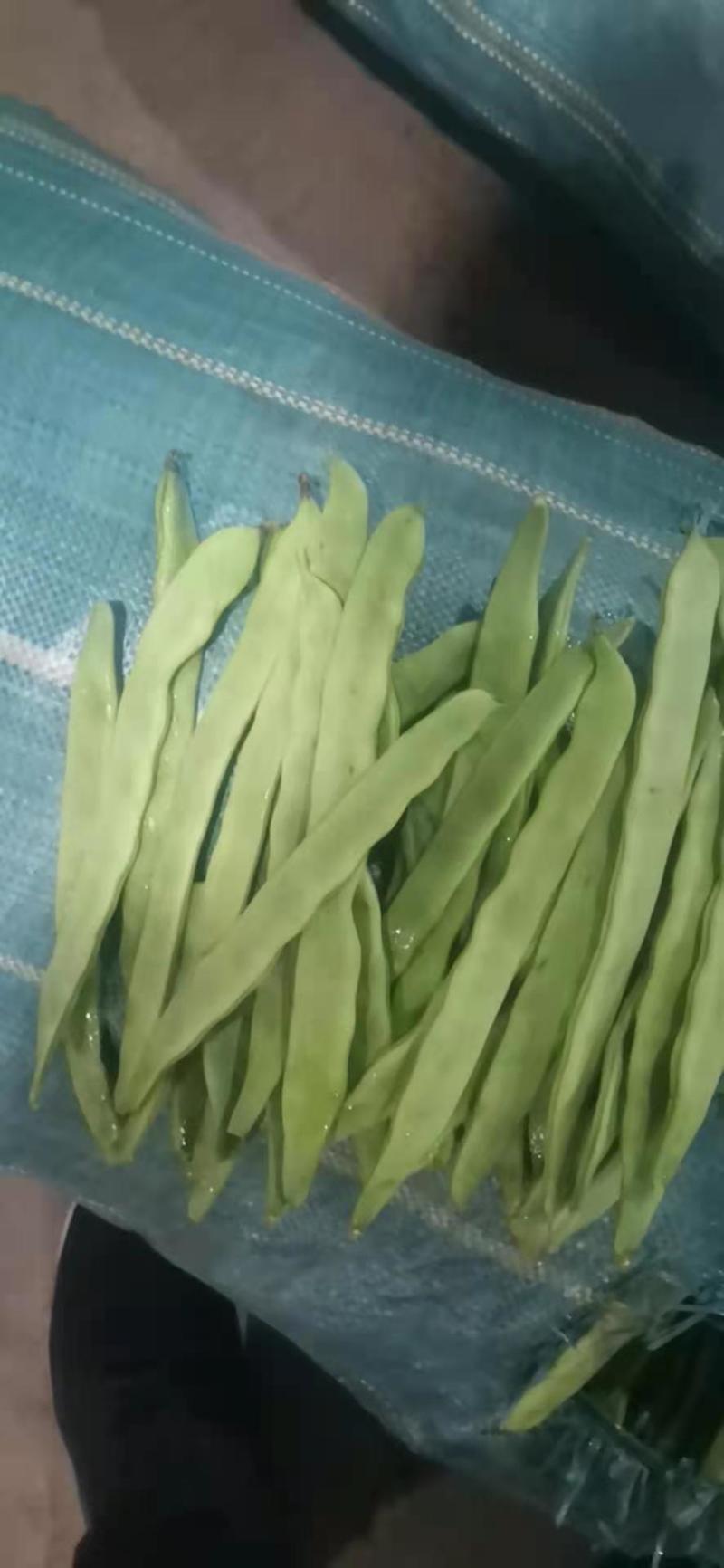 优质扁豆，质量杠杠滴。