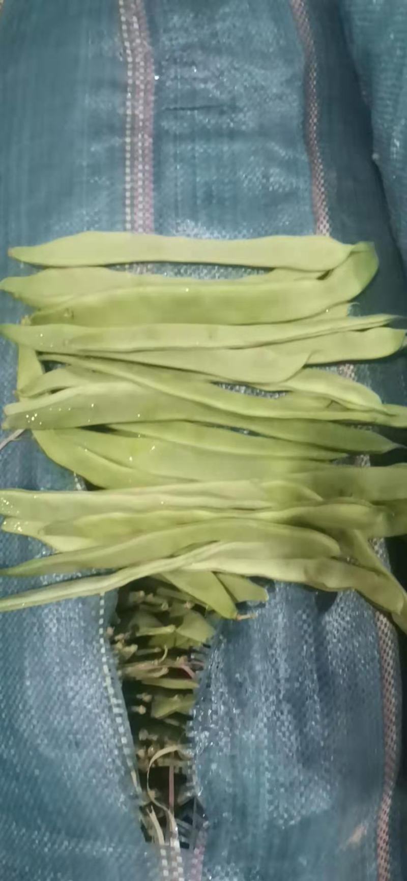 优质扁豆，质量杠杠滴。