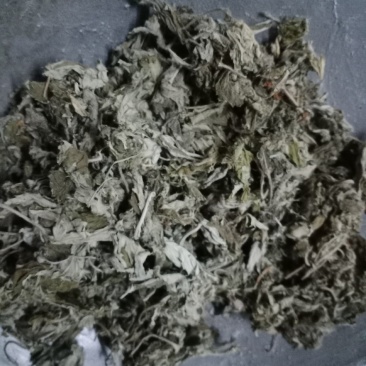 艾叶中药材批发艾叶