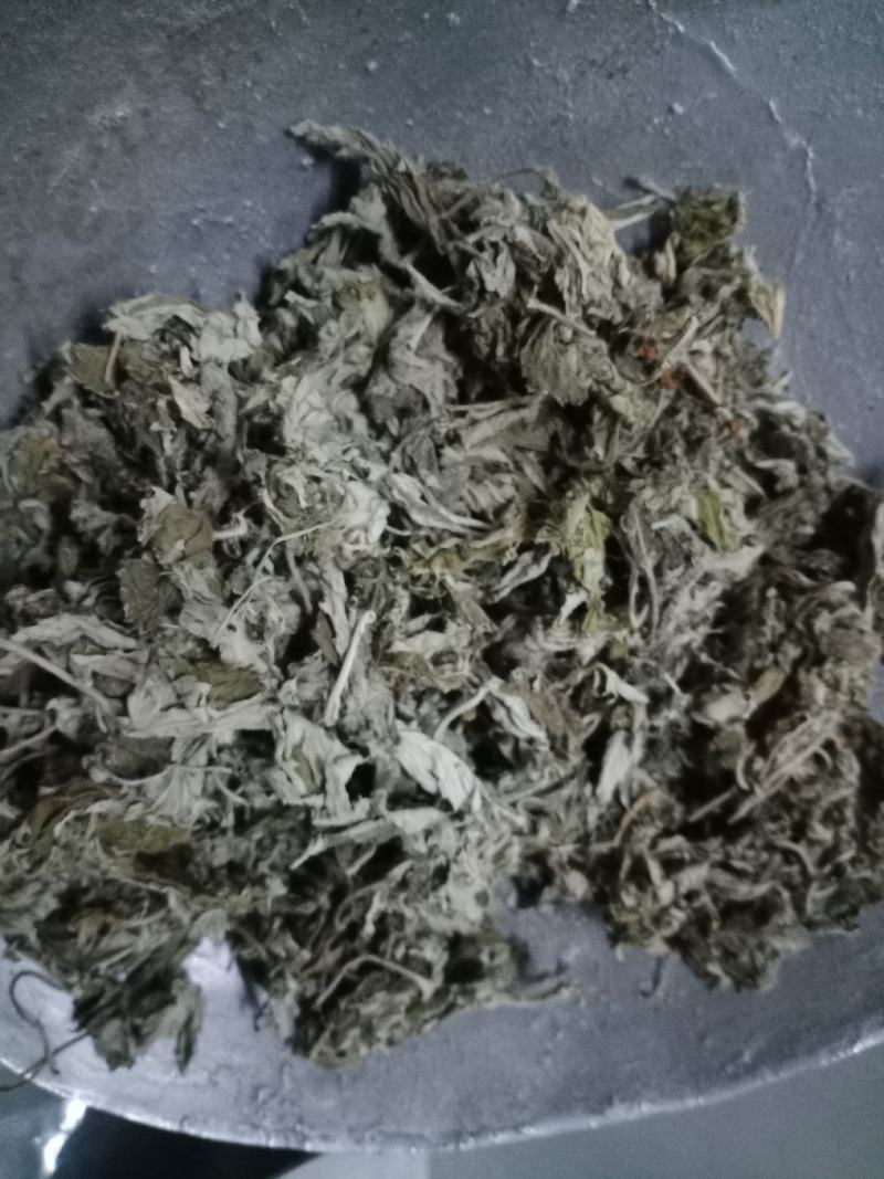 艾叶中药材批发艾叶