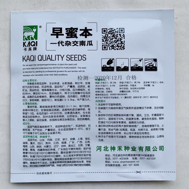 基地专用早甜蜜本南瓜种子产量高面甜可口蜜本南瓜杂交种