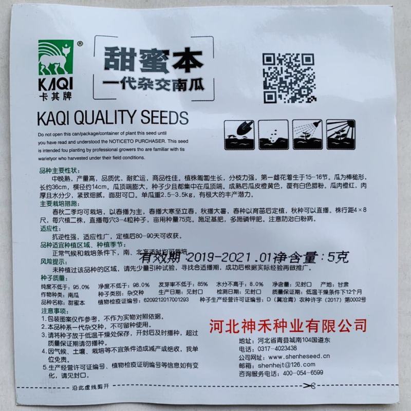 基地专用早甜蜜本南瓜种子产量高面甜可口蜜本南瓜杂交种