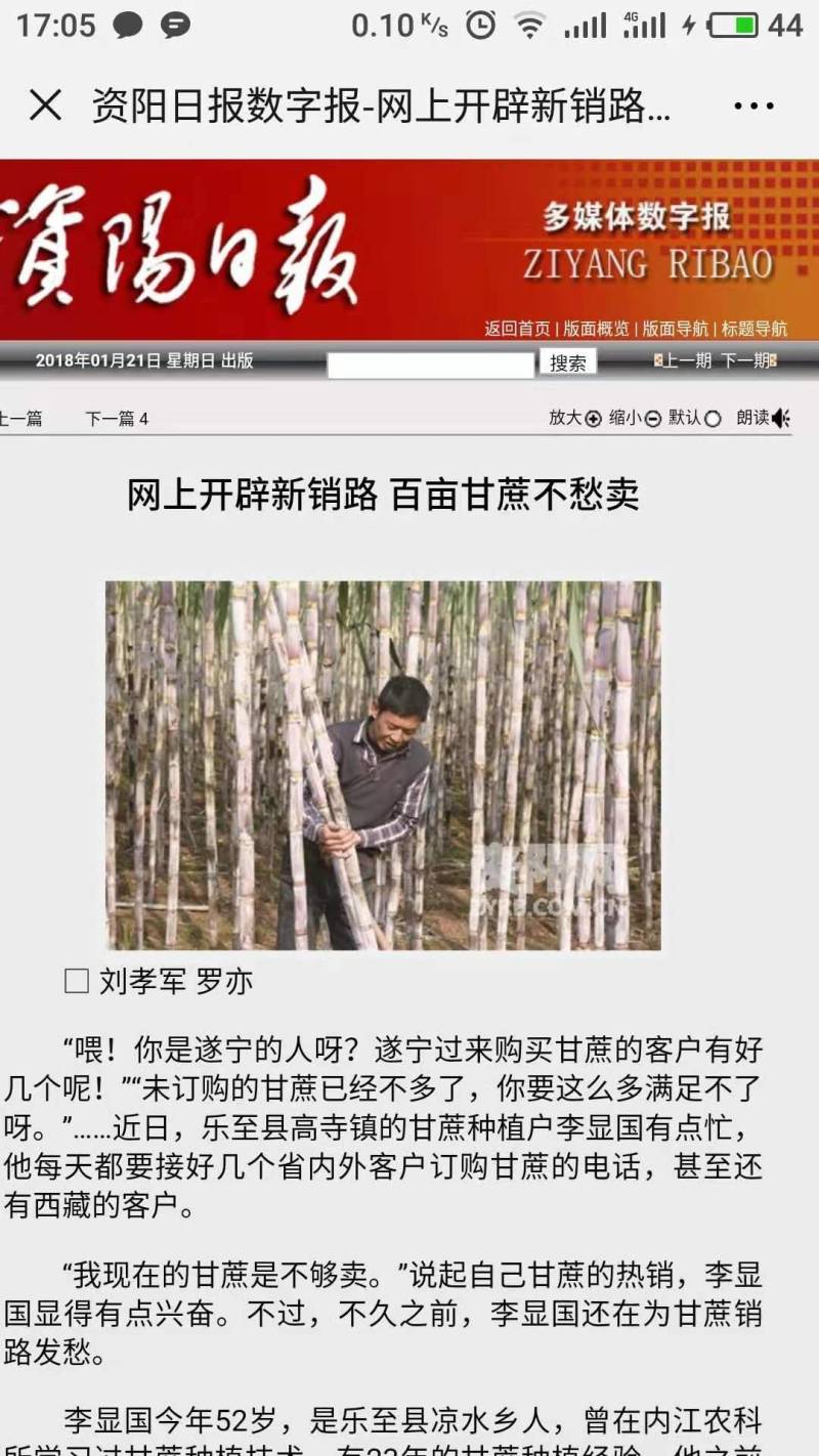 科技示范园甘蔗种甘蔗苗，品种齐全，全程免费技术指导