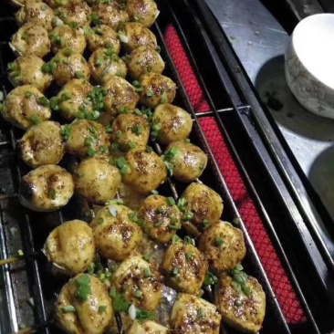 迷你版包浆豆腐／火锅／烧烤／油炸／特色小吃