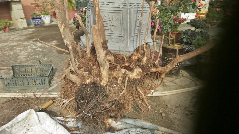 图一桩宽94高110图三宽45长58图五桩宽72