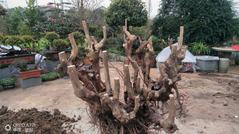 图一桩宽94高110图三宽45长58图五桩宽72
