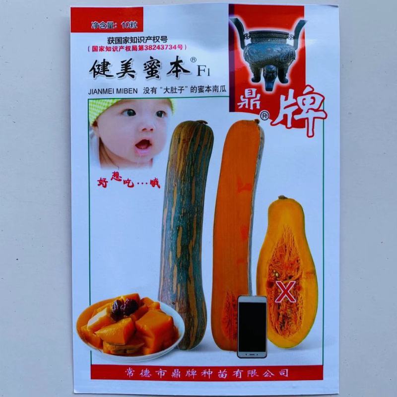 没有“大肚子”的蜜本南瓜，鼎牌健美蜜本南瓜种子面甜更纯正