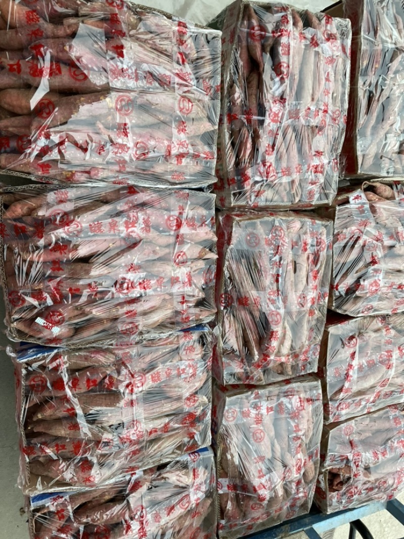西瓜红蜜薯大量现货只做精品自产自销诚信经营