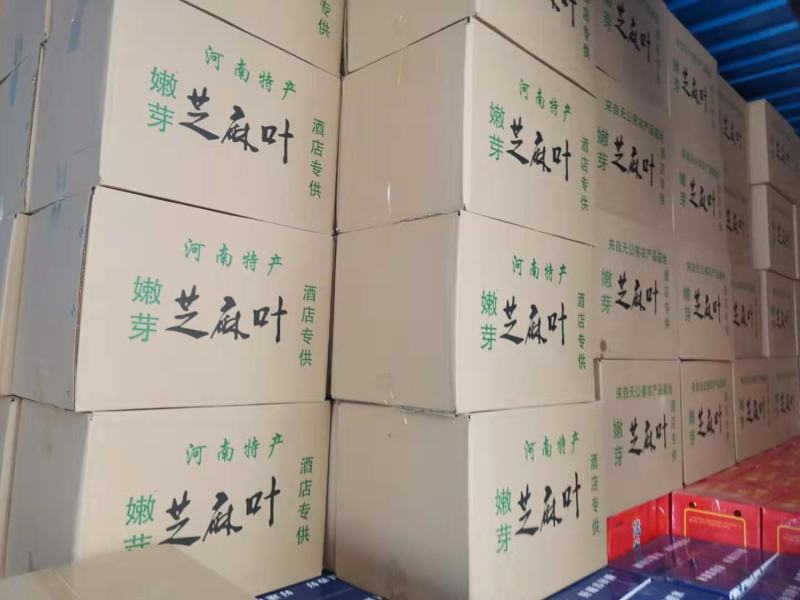 大量供应河南特产干芝麻叶