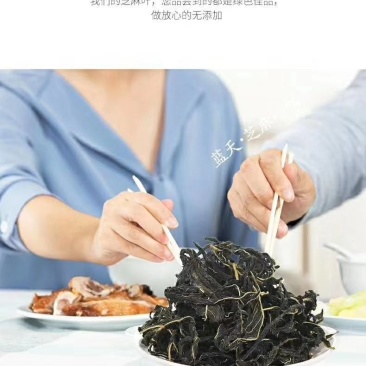 大量供应河南特产干芝麻叶