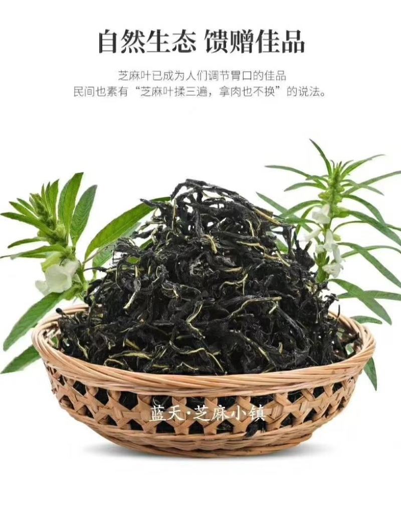 大量供应河南特产干芝麻叶