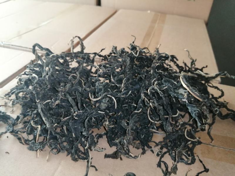 大量供应河南特产干芝麻叶