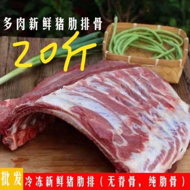 带肉猪肋排骨新鲜冷冻肋排骨煲汤食材饭店食堂用排骨条猪前排