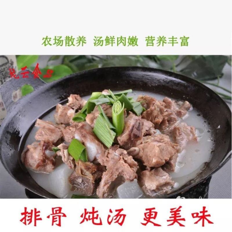 带肉猪肋排骨新鲜冷冻肋排骨煲汤食材饭店食堂用排骨条猪前排