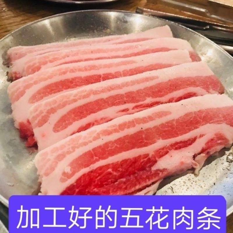 五花肉条包邮冷冻新鲜猪肉条20斤装中方长条去皮五