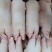 新鲜冷冻生猪肉生猪蹄整箱20斤20个左右生鲜猪爪饭店商用