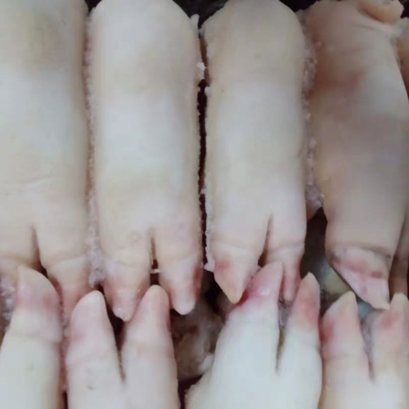新鲜冷冻生猪肉生猪蹄整箱20斤20个左右生鲜猪爪饭店商用