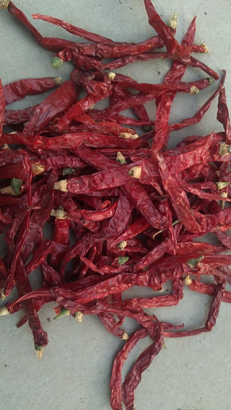 精品，特香，高辣，二荊条辣椒，切断，打粉，都可以，