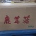 精选丹阳鹿茸菇鲜干品厂家现货直发量大从优