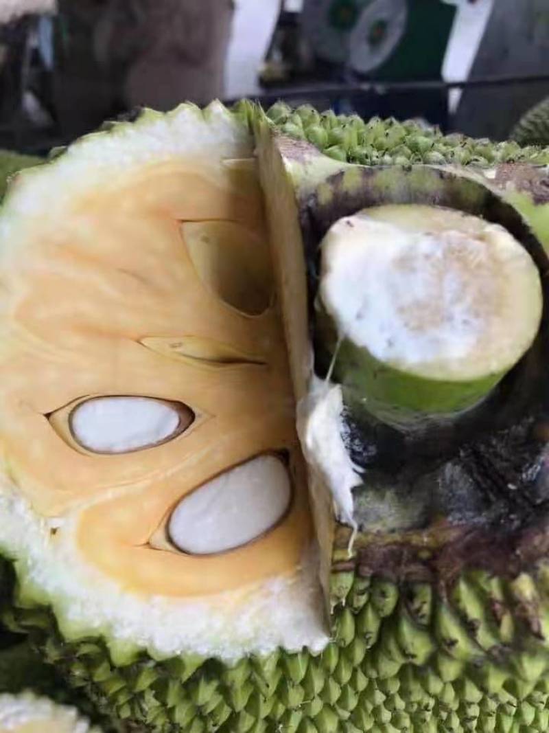 越南前江正宗红肉菠萝蜜