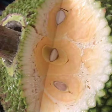 越南前江正宗红肉菠萝蜜