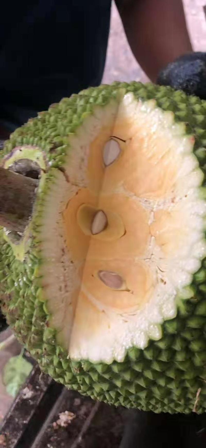 越南前江正宗红肉菠萝蜜