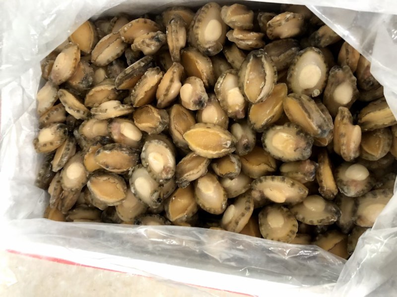 自然生长十头活冻湛江鲍鱼，肉质鲜美，价格美丽