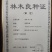 无絮杨，南林3412及鲁林9号，种条100万株