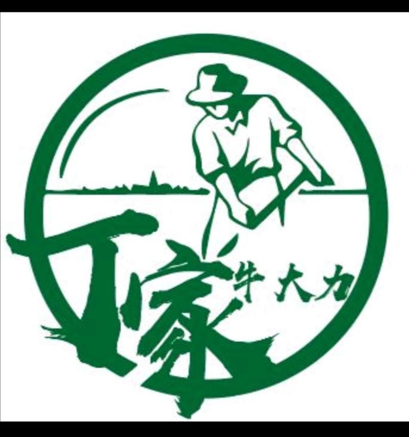 牛大种苗基地直供提供技术指导存活率高欢迎客商咨询
