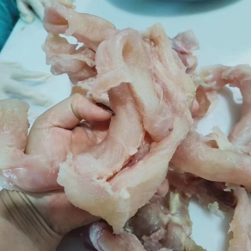 牛蹄筋，全熟牛蹄筋，主筋无任何添加剂，厂家直销一首货