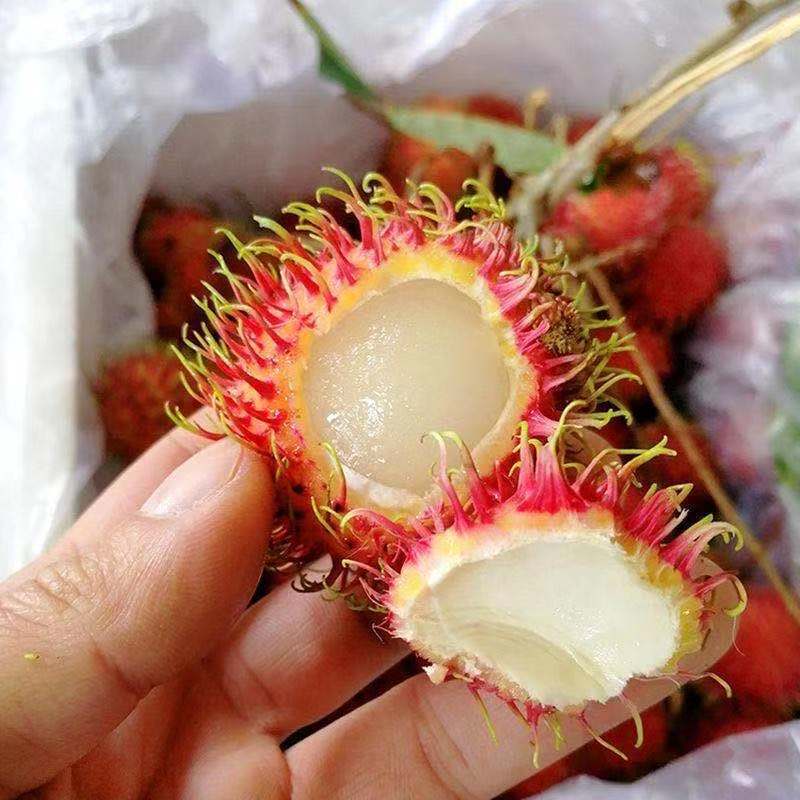 【5斤包邮】越南进口红毛丹毛荔枝一件代发商超专供冷链配送