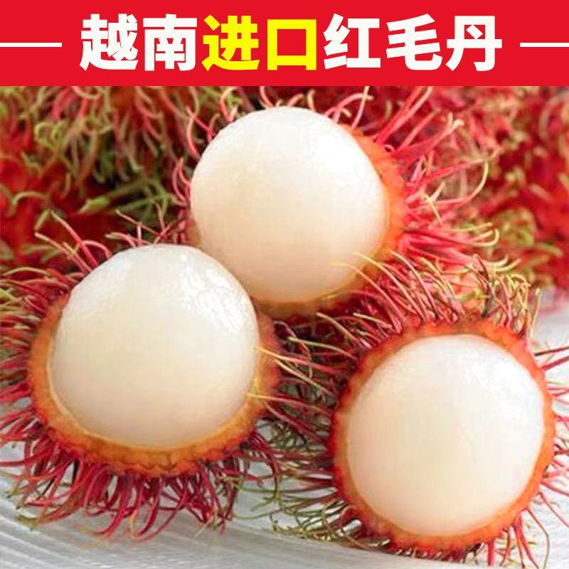 【5斤包邮】越南进口红毛丹毛荔枝一件代发商超专供冷链配送