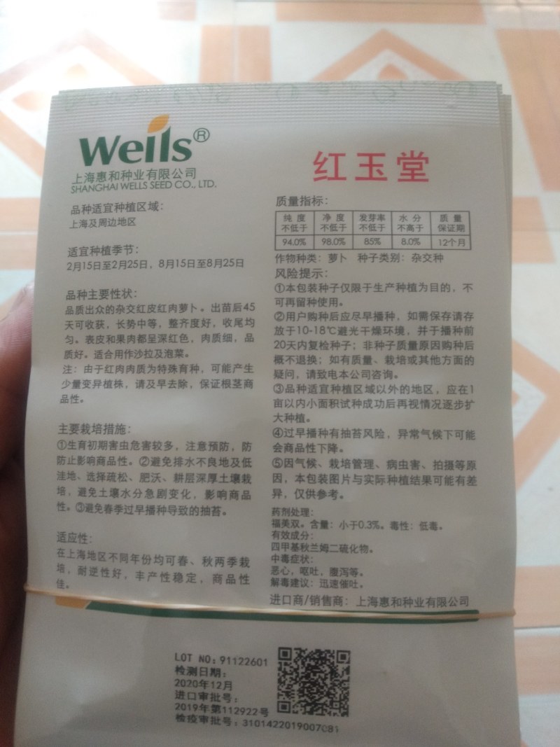 水果萝卜种子/经过近几年的筛选对比，条形口感商品性强！
