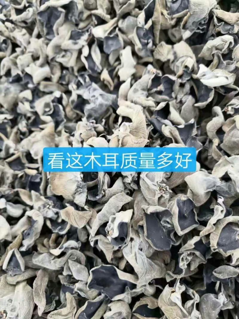 东北黑木耳，无污染，无掺假，纯好木耳，卖良心木耳