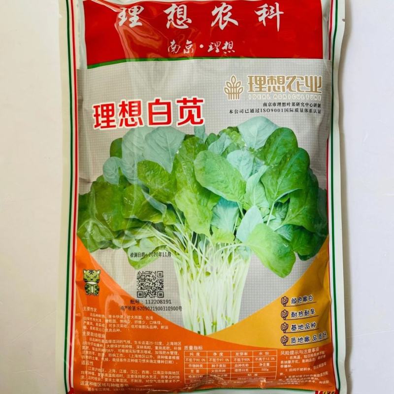 白苋菜种子品种圆叶生长速度快白绿色有光泽品种种子