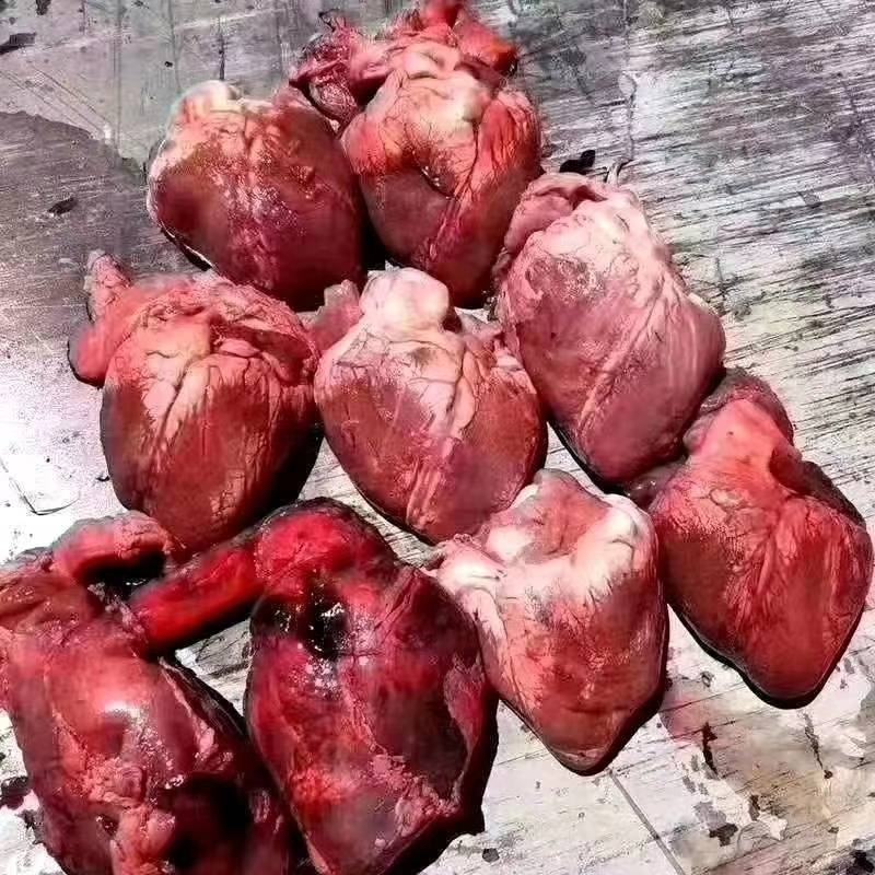 梅花鹿鹿心鲜鹿心干干鹿心冻鹿心