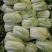 冬储精品娃娃菜，精品娃娃菜，