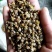 纯野生菊花，纯手工采摘