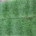 四季青草坪百慕大草坪高羊矛草坪果岭草