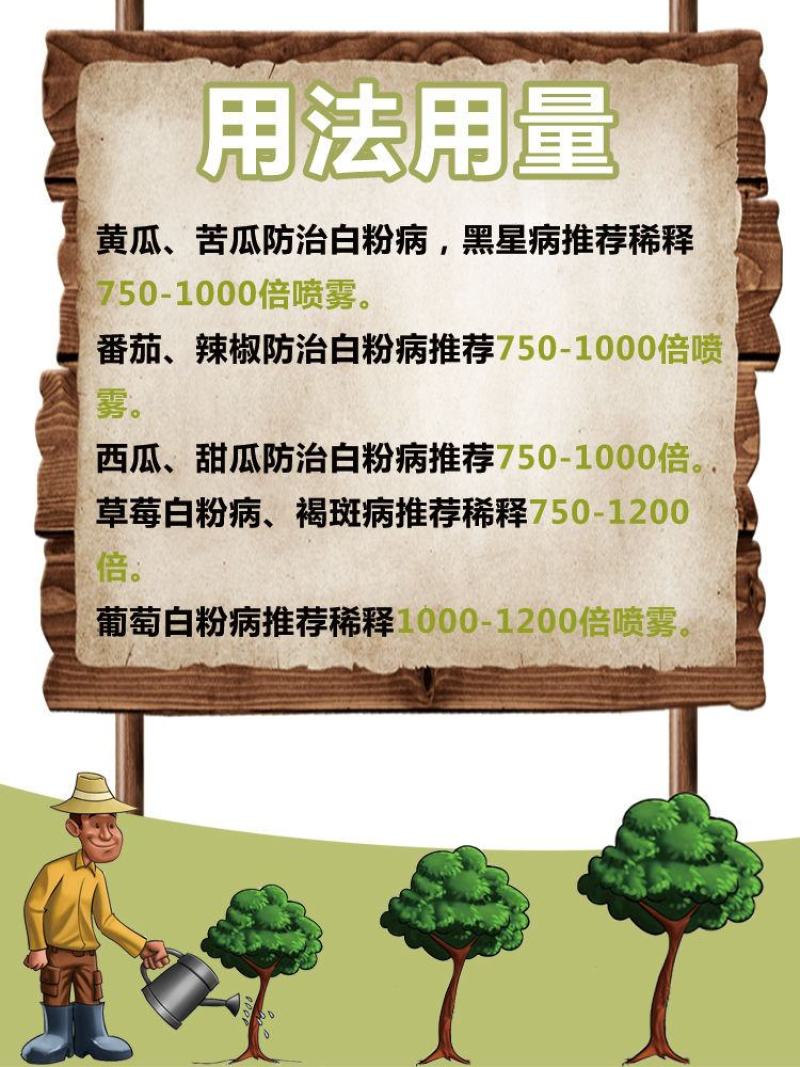 满玉净25%乙嘧酚磺酸酯葡萄黄瓜草莓甜瓜白粉病杀菌剂