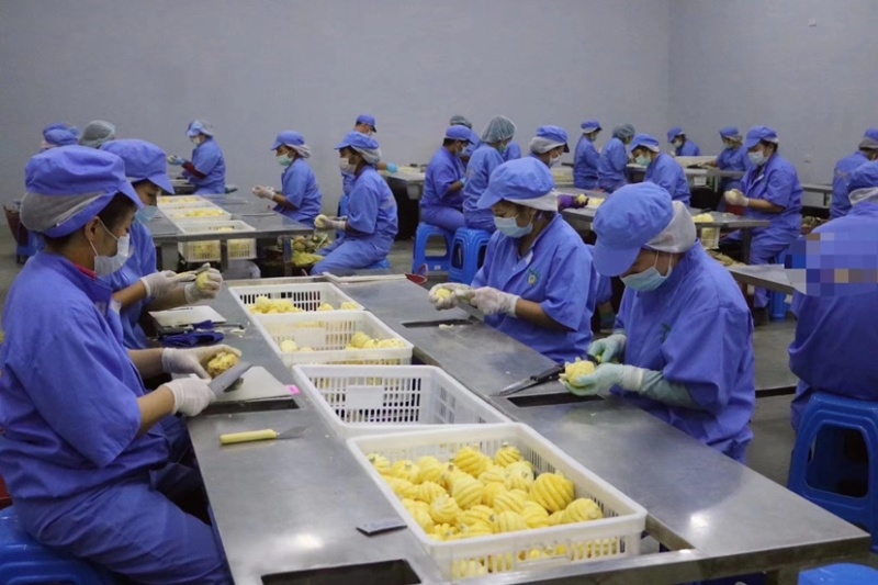 正宗超甜泰国削皮小菠萝