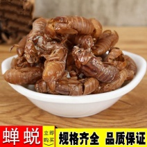 蝉蜕水洗蝉蜕无泥净货优质虫蜕规格齐产地直销品质保证