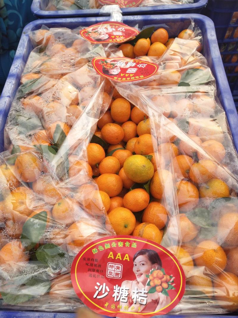 砂糖橘大量供应，可发整车，河北邯郸购销处。专业代购代销